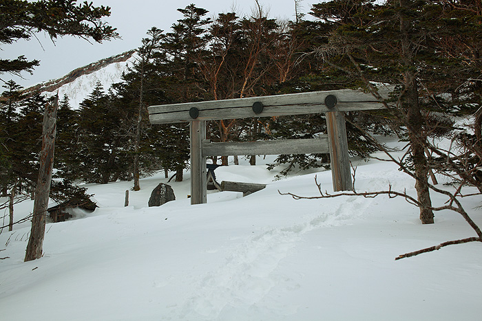 a0148606_1757490.jpg