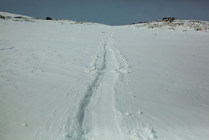 a0148606_18141778.jpg