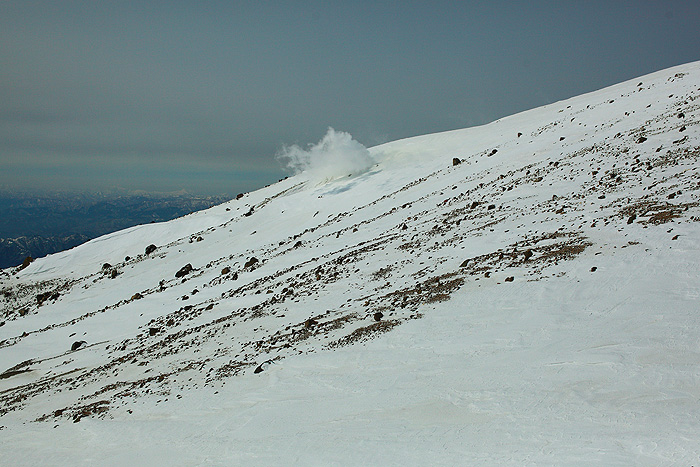 a0148606_1854821.jpg