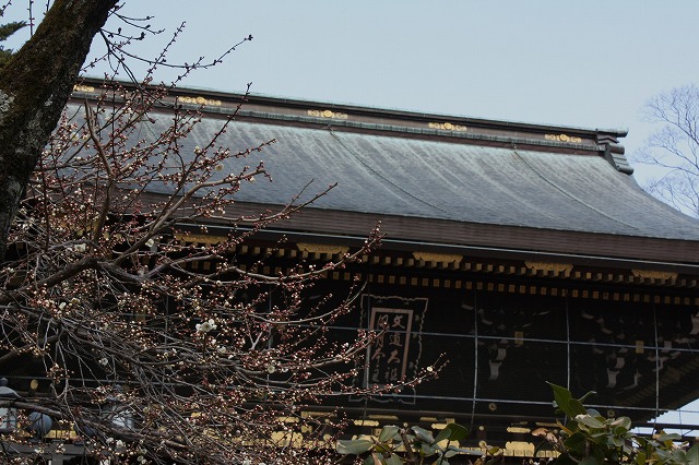 d0154609_14541240.jpg