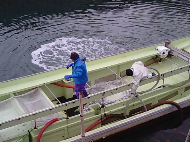 f0231709_1356059.jpg