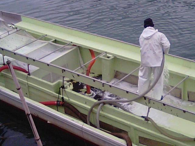 f0231709_13565330.jpg
