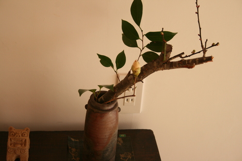 f0044715_1034355.jpg