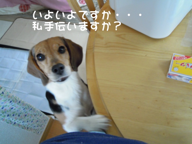 c0166622_2182095.jpg