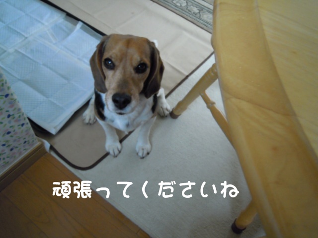 c0166622_2185344.jpg