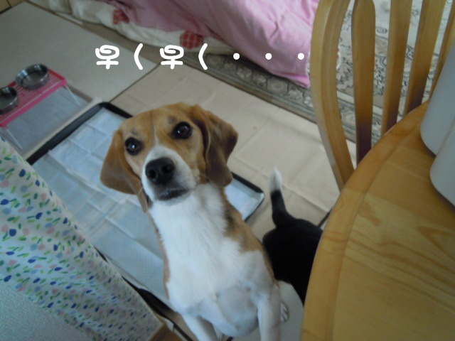 c0166622_2185557.jpg