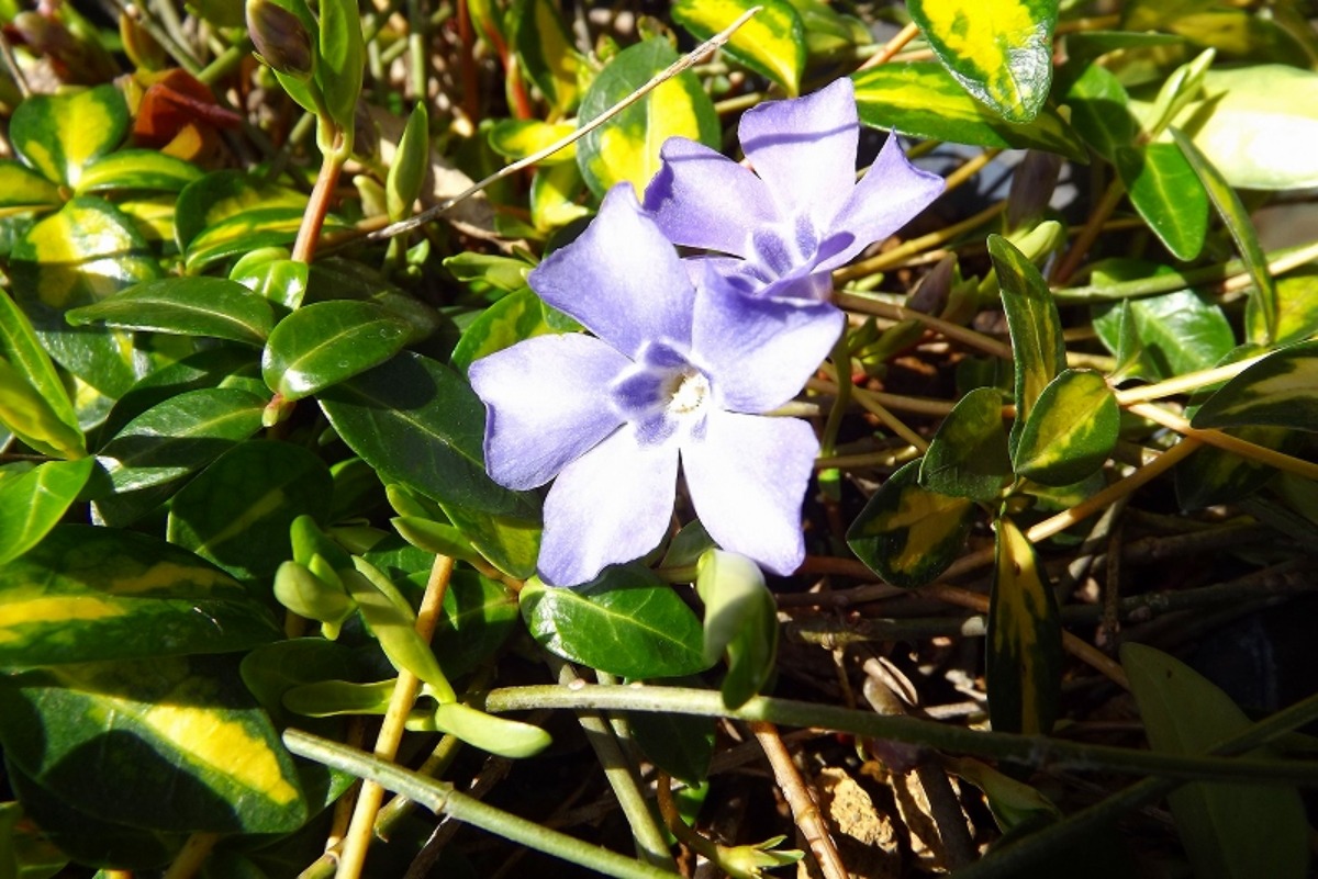 e0033229_949839.jpg