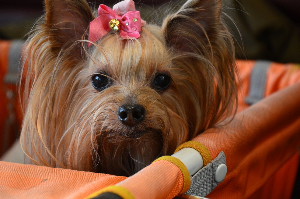 f0124830_2010091.jpg