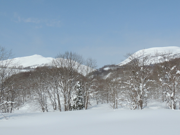 f0118332_23171730.jpg