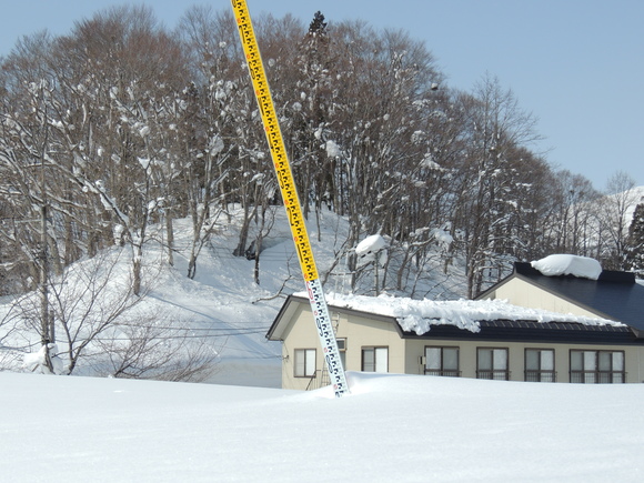 f0118332_23203246.jpg