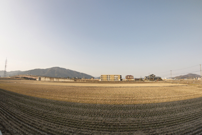 b0170134_02465.jpg