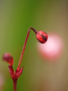 e0227942_2347593.jpg