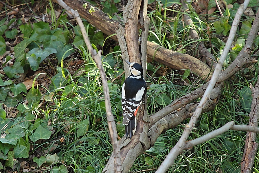 e0249878_2227405.jpg
