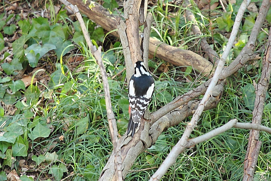 e0249878_22303366.jpg
