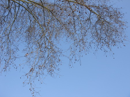 a0247585_5121832.jpg
