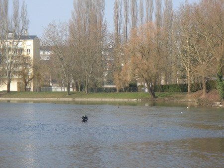 a0247585_5131934.jpg