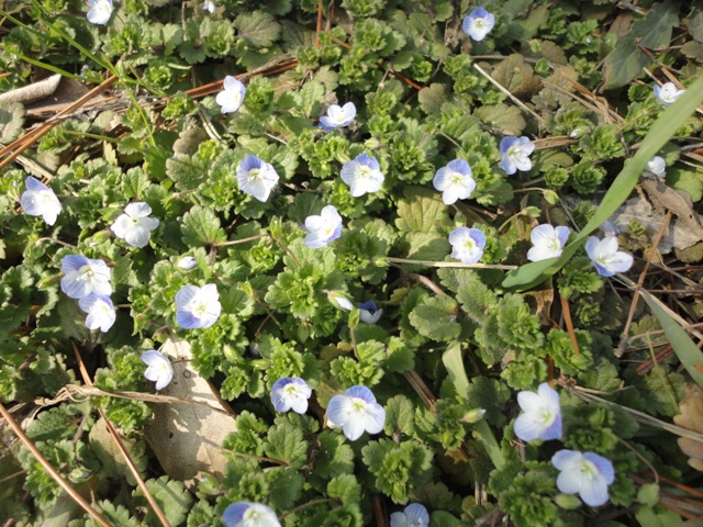 f0131491_14402867.jpg