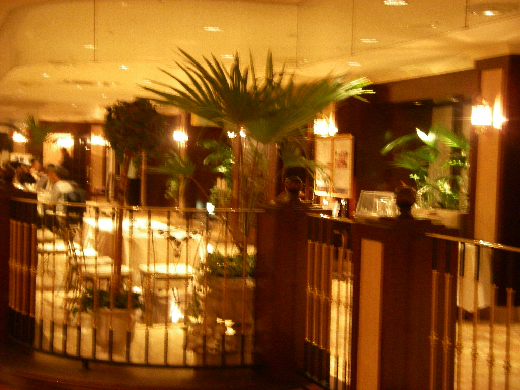 d0046294_656954.jpg