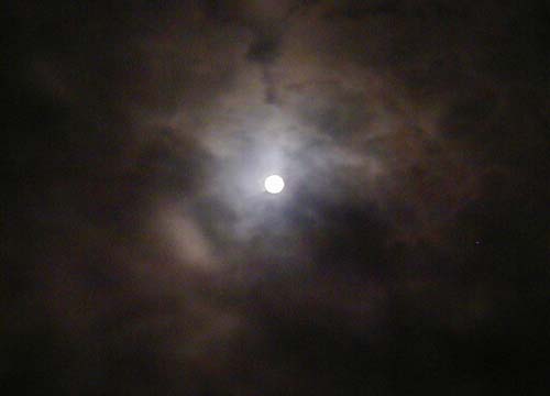 d0053294_28748.jpg