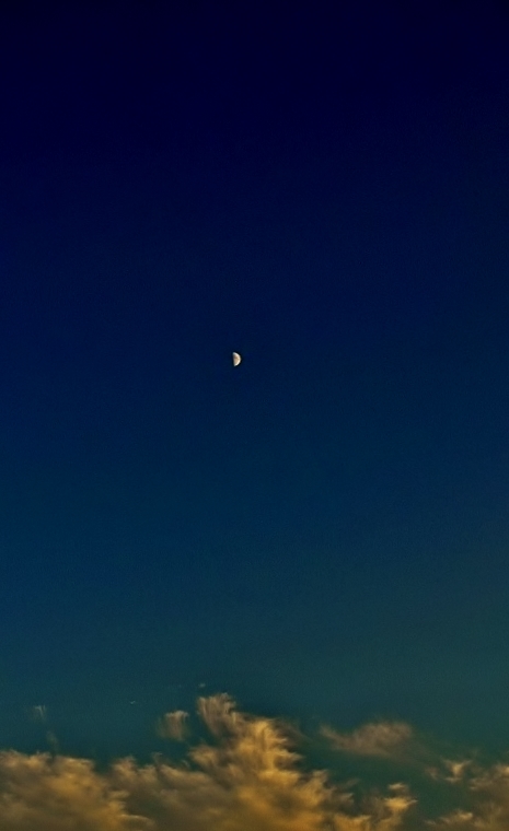 c0247096_16294538.jpg