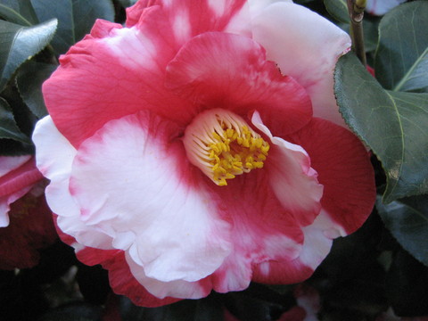 f0201297_0484521.jpg