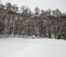 c0151898_1633590.jpg