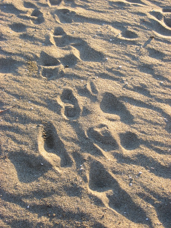 c0204298_16572428.jpg