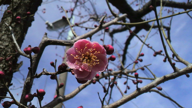 c0092803_17503661.jpg
