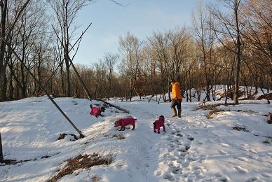 a0134004_14261978.jpg