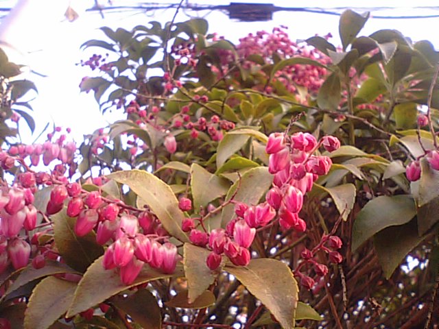 f0231709_245980.jpg