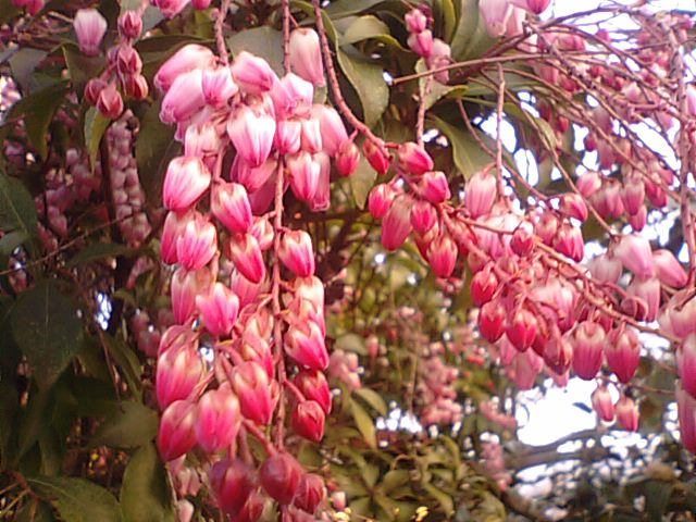 f0231709_2461871.jpg