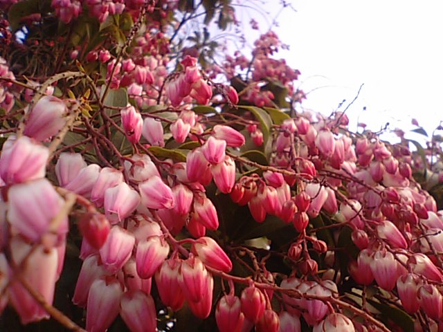 f0231709_247516.jpg