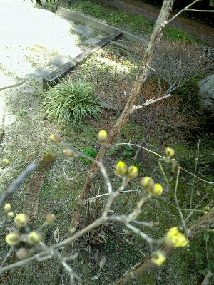e0239912_20544574.jpg