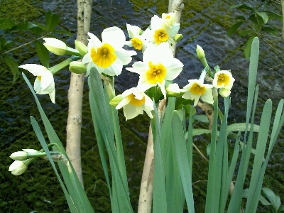 e0239912_2055347.jpg