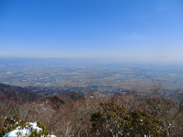 d0170615_7205552.jpg