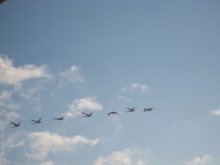 f0248616_1019574.jpg