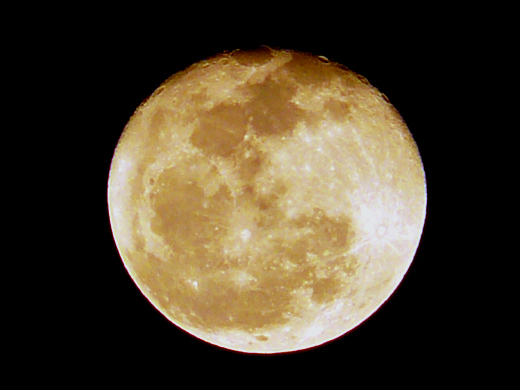 c0147123_1219434.jpg
