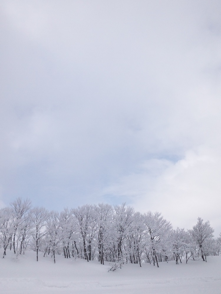 b0199924_13415768.jpg