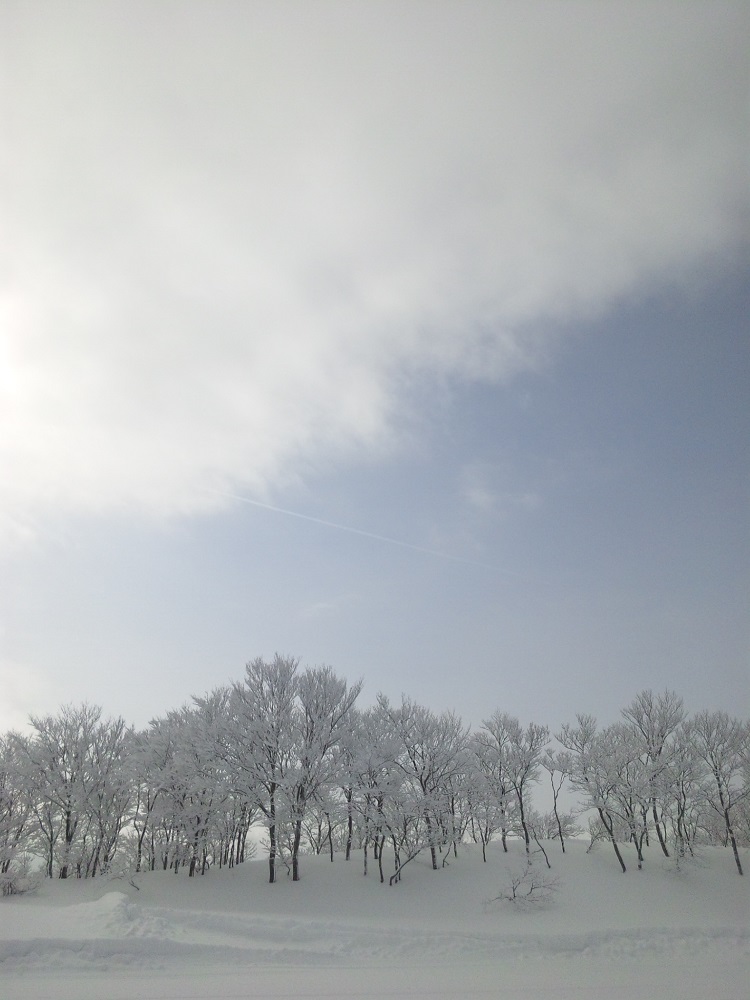 b0199924_13421653.jpg