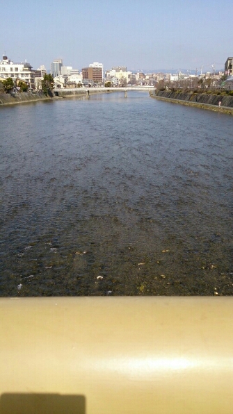 e0188236_855367.jpg