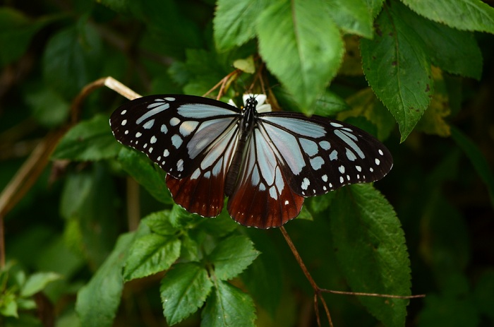 a0146442_8433147.jpg