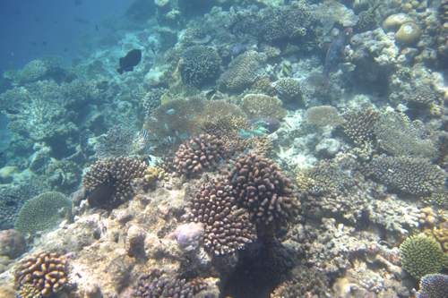 f0190653_1345775.jpg