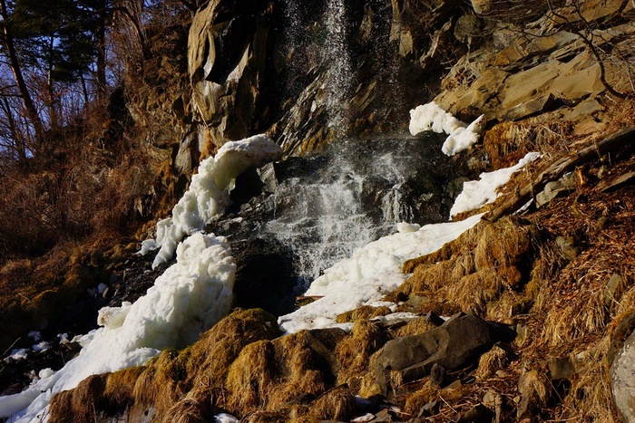 e0223456_782888.jpg
