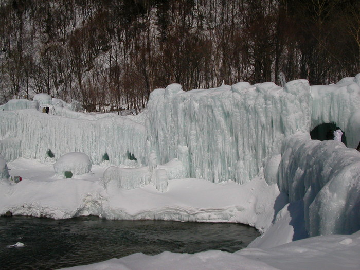 a0193457_17295090.jpg
