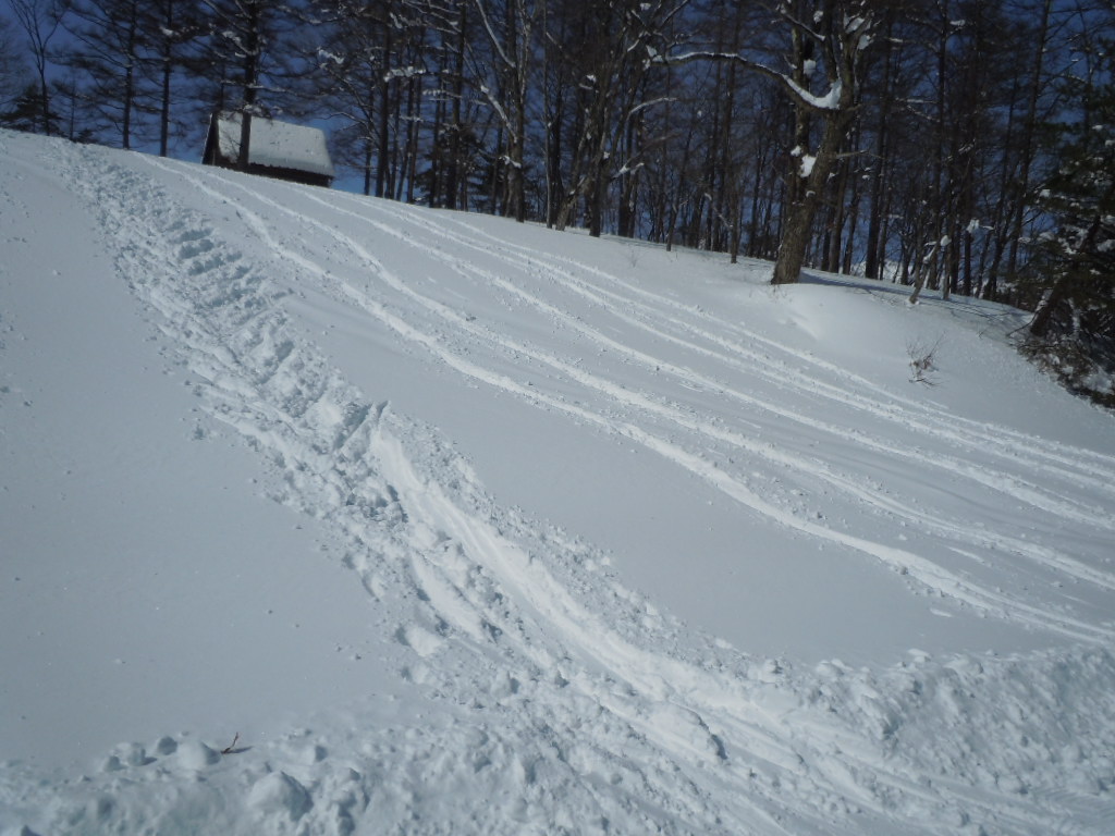 f0145963_21415515.jpg