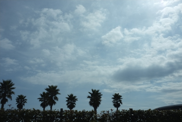 e0196465_9223972.jpg