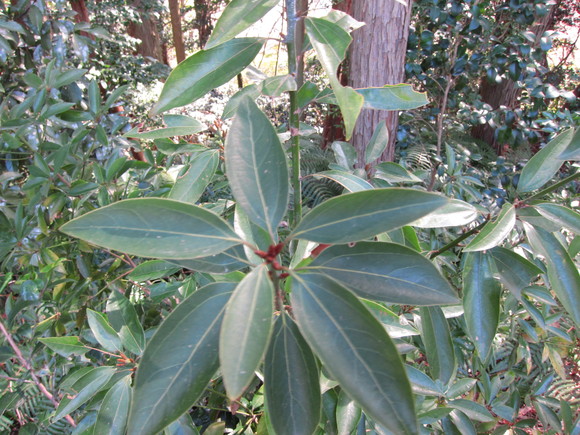 e0205374_18585674.jpg