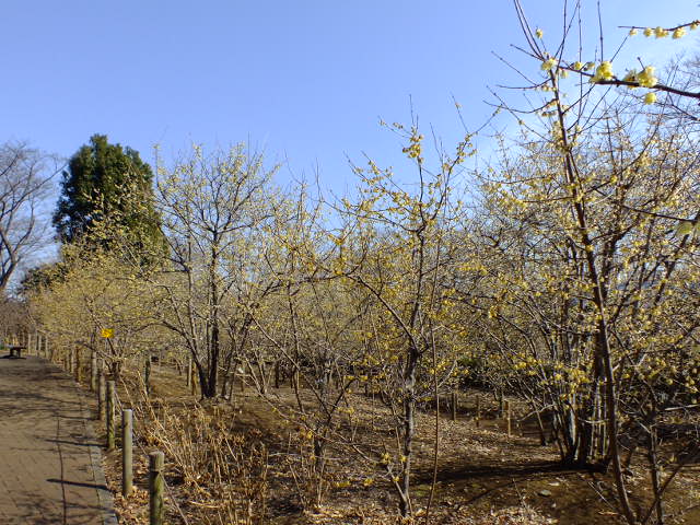 e0145782_86566.jpg