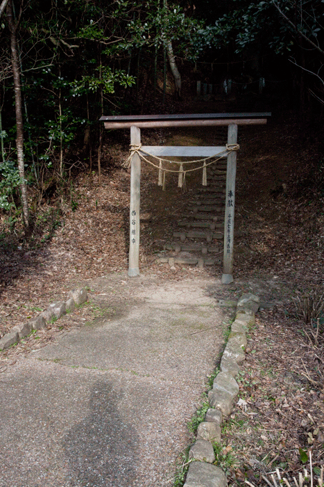 c0193289_22141211.gif