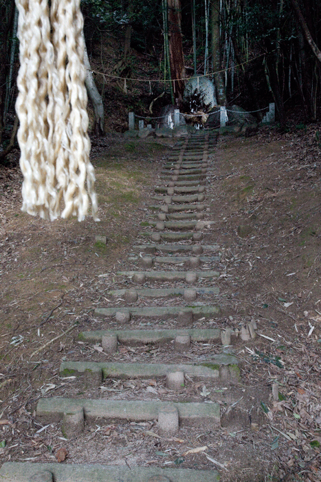 c0193289_22341138.gif
